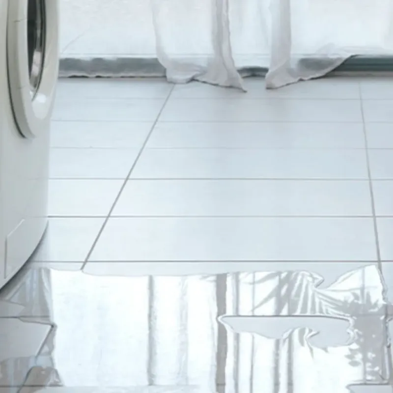 Appliance Leak Cleanup in Town and Country, WA